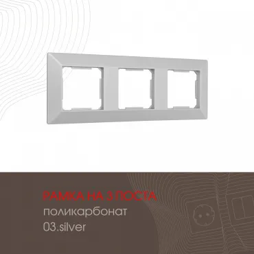 Рамка из поликарбоната на 3 поста 503.03-3.silver