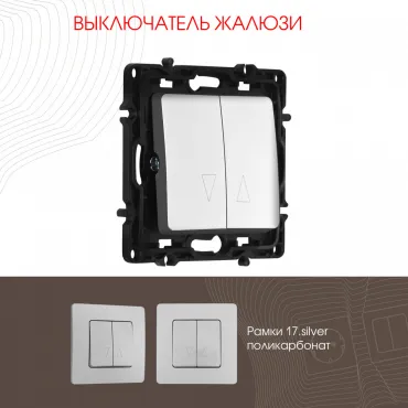 Выключатель жалюзи, 10A 250V 217.38-2.silver Выключатель жалюзи, 10A 250V 217.38-2.silver