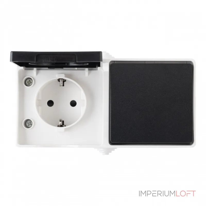 Розетка с заземлением и шторками + выключатель одноклавишный, 10AX 250V, 16A 250V 309.52-1.grey от ImperiumLoft