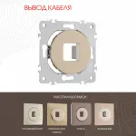 Вывод кабеля 202.49-1.shampan от ImperiumLoft