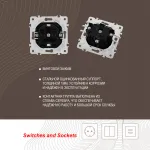Розетка с заземлением и шторками, 16A 250V 203.40-1.silver