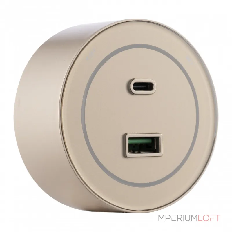 Трековая розетка, 3.1A 250V 399732TS/USB-Type-C Gold от ImperiumLoft
