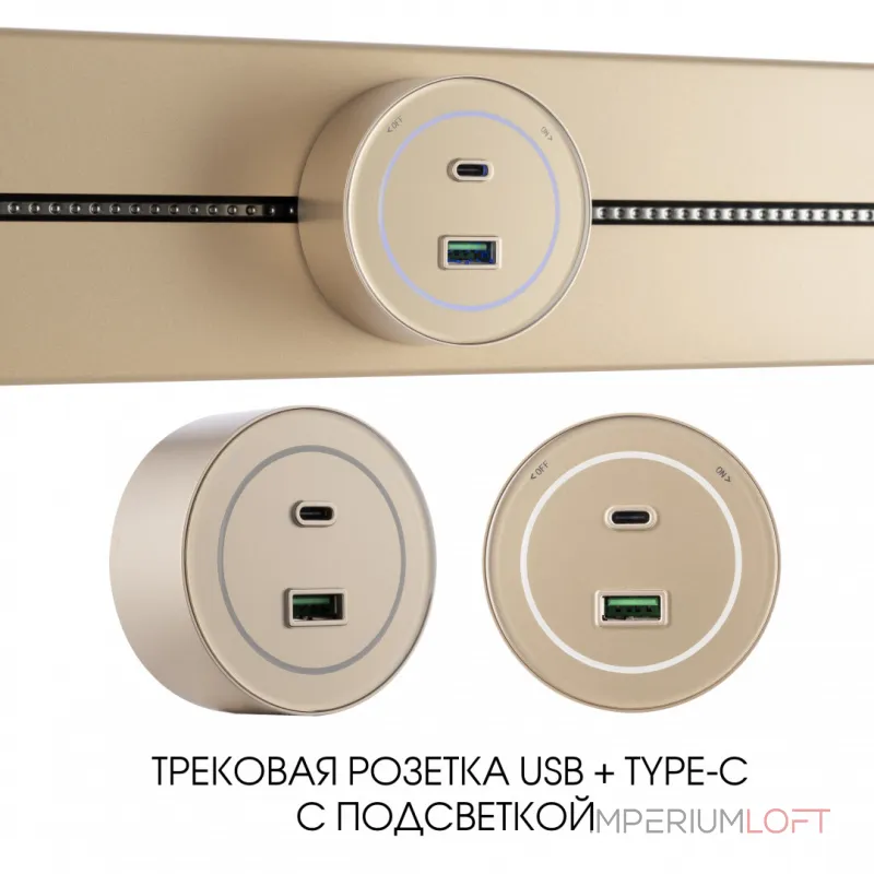 Трековая розетка, 3.1A 250V 399732TS/USB-Type-C Gold от ImperiumLoft