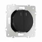 Выключатель двухклавишный с подсветкой, 10AX 250V 202.31-2.black