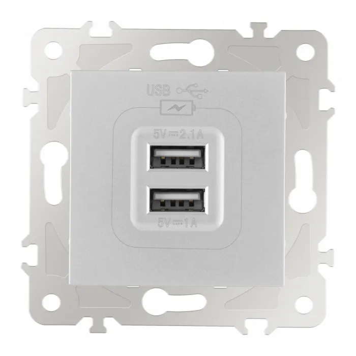 Розетка USB 2.1А+1А 203.46-1.silver от ImperiumLoft
