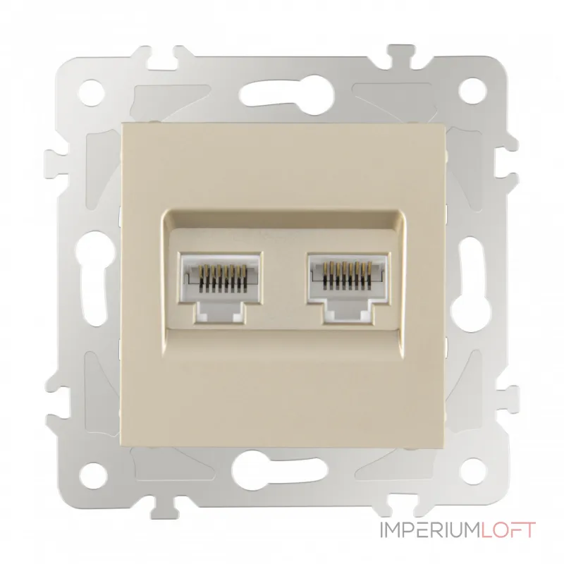 Розетка интернет RJ45 х 2 203.45-2.shampan