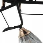 Люстра Arte Milano AMALFI-322610 322610/5 BK+FG от ImperiumLoft
