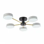 Светильник светодиодный Arte Milano Ferrara 252006/5 Bk/Wh