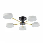 Светильник светодиодный Arte Milano Ferrara 252006/5 Bk/Wh