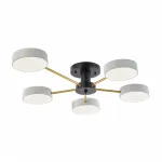 Светильник светодиодный Arte Milano Ferrara 252006/5 Bk/Wh