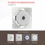 Розетка TV 202.43-1.silver