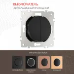 Выключатель двухклавишный проходной (на 2 направления), 10AX 250V 202.32-2.black