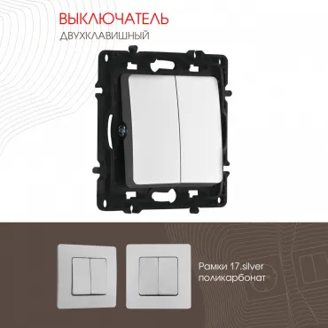 Выключатель двухклавишный, 10AX 250V 217.30-2.silver Выключатель двухклавишный, 10AX 250V 217.30-2.silver