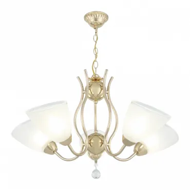 Подвесная люстра Arte Milano Amalfi-5816 335816/5 FGD Подвесная люстра Arte Milano Amalfi-5816 335816/5 FGD