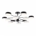 Светильник светодиодный Arte Milano Ferrara 250906/12B Bk/Wh