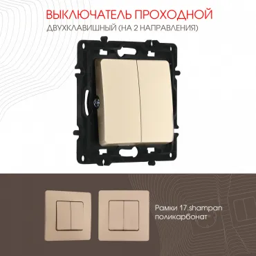 Выключатель двухклавишный проходной (на 2 направления), 10AX 250V 217.32-2.shampan