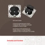 Розетка с заземлением, шторками + 2 USB, 16A 250V, USB DC 5V 2.1A 206.47-1.black от ImperiumLoft