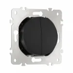 Выключатель двухклавишный проходной (на 2 направления), 10AX 250V 202.32-2.black