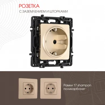 Розетка с заземлением и шторками, 16A 250V 217.40-1.shampan Розетка с заземлением и шторками, 16A 250V 217.40-1.shampan