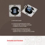 Розетка интернет, RJ45 202.45-1.shampan