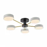 Светильник светодиодный Arte Milano Ferrara 252006/5 Bk/Wh