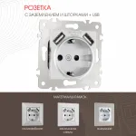 Розетка с заземлением, шторками + USB, 16A 250V, USB DC 5V 2.1A 203.47-1.silver от ImperiumLoft