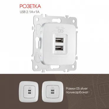 Розетка USB 2.1А+1А 205.46-1.silver Розетка USB 2.1А+1А 205.46-1.silver