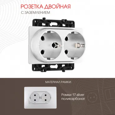 Розетка двойная с заземлением, 16A 250V 217.40-2.silver