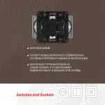Розетка двойная с заземлением, 16A 250V 217.40-2.silver