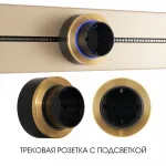 Трековая розетка, 16A 250V 397952TS/ES Gold от ImperiumLoft