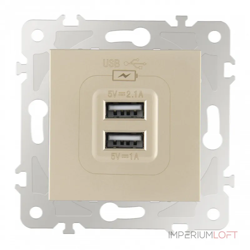Розетка USB 2.1А+1А 203.46-1.shampan