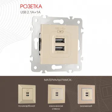 Розетка USB 2.1А+1А 203.46-1.shampan Розетка USB 2.1А+1А 203.46-1.shampan