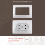 Розетка двойная с заземлением, 16A 250V 217.40-2.silver