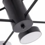 Светильник светодиодный Arte Milano Ferrara 250906/8B Bk/Wh