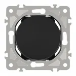 Выключатель одноклавишный, 10AX 250V 202.30-1.black от ImperiumLoft