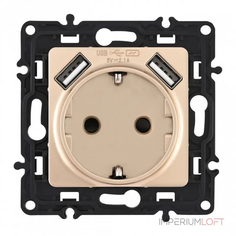 Розетка с заземлением, шторками + 2 USB, 16A 250V, USB DC 5V 2.1A 217.47-1.shampan Розетка с заземлением, шторками + 2 USB, 16A 250V, USB DC 5V 2.1A 217.47-1.shampan