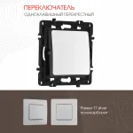 Переключатель одноклавишный перекрёстный, 10AX 250V 217.34-1.silver от ImperiumLoft