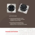 Розетка USB 2.1А+1А 203.46-1.shampan