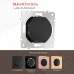 Выключатель одноклавишный, 10AX 250V 202.30-1.black от ImperiumLoft