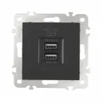 Розетка USB 2.1А+1А 206.46-1.black от ImperiumLoft