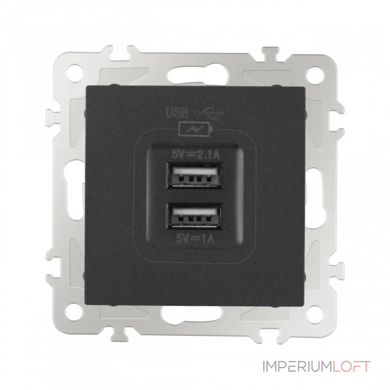 Розетка USB 2.1А+1А 206.46-1.black от ImperiumLoft