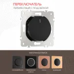 Переключатель одноклавишный перекрёстный с подсветкой, 10AX 250V 202.35-1.black от ImperiumLoft