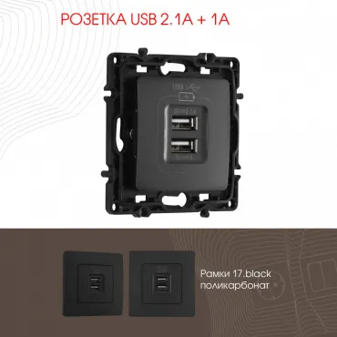 Розетка USB 2.1А+1А 217.46-1.black Розетка USB 2.1А+1А 217.46-1.black