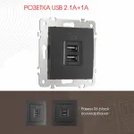 Розетка USB 2.1А+1А 206.46-1.black от ImperiumLoft