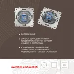 Розетка интернет RJ45 203.45-1.silver