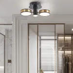 Светильник светодиодный Arte Milano Ferrara-71040 271040/2R BK/GD