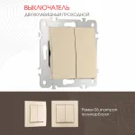 Выключатель двухклавишный проходной (на 2 направления), 10AX 250V 206.32-2.shampan от ImperiumLoft