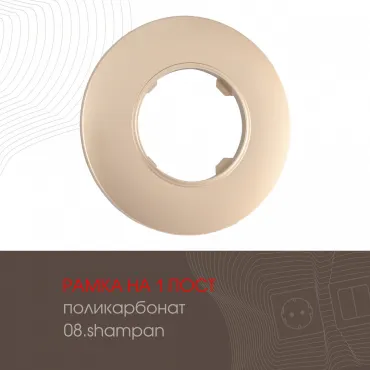 Рамка из поликарбоната на 1 пост 502.08-1.shampan