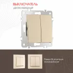 Выключатель двухклавишный, 10AX 250V 206.30-2.shampan