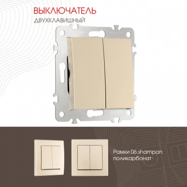 Выключатель двухклавишный, 10AX 250V 206.30-2.shampan